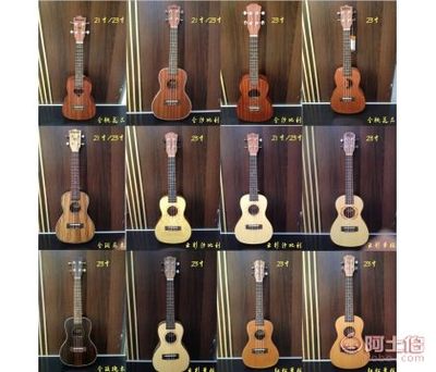 北京巴比亞鋼琴專營(yíng)店 您的樂(lè)器綜合服務(wù)伙伴
